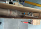pompe di trasferimento della schiuma dello spruzzo 10kg pneumatiche con la metropolitana di aspirazione di 600mm